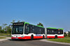 Bild von Galerie: Linienbusse: Eine Auswahl unseres Fuhrparks.