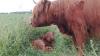 Bild von Galerie: Unsere Tiere