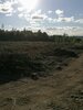 Zur Galerie: Waldschäden 2020