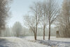 Bild von Galerie: Gisi - Traum in weiß durch Hochnebel und Sonne und Kälte