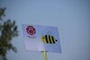 Bild von Galerie: Streettennis-2023