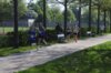 Bild von Galerie: 36. VR Bank Stadtlauf-01