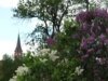 Bild von Galerie: Bilder