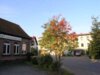 Bild von Galerie: Bilder