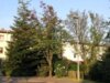 Bild von Galerie: Bilder