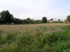 Bild von Galerie: Bilder