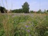 Bild von Galerie: Bilder