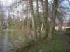Bild von Galerie: Bilder