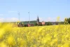 Bild von Galerie: Bilder