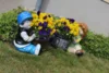 Bild von Galerie: Bilder