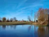 Bild von Galerie: Bilder