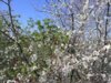 Bild von Galerie: Bilder