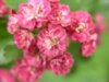 Bild von Galerie: Bilder