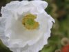Bild von Galerie: Bilder