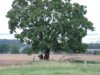 Bild von Galerie: Bilder