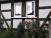 Bild von Galerie: Bilder