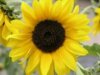 Bild von Galerie: Bilder
