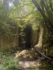 Bild von Galerie: Norditalien Ligurien