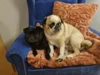 Bild von Galerie: Hanni und Olaf
