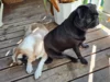 Bild von Galerie: Hanni und Olaf