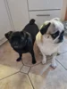 Bild von Galerie: Hanni und Olaf