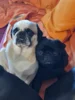 Bild von Galerie: Hanni und Olaf