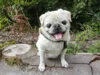 Zur Galerie: Pepper