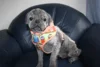 Bild von Galerie: Pepper