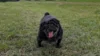 Zur Galerie: Molly