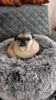 Zur Galerie: Balu