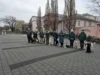 Zur Galerie: Stadttraining des Hundesportvereins durch Coswig 17.01.2026