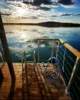 Bild von Galerie: SPA Boot