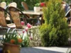 Bild von Galerie: Terrasse