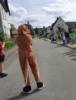 Bild von Galerie: Walk'n Run 2026 Teil2