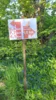 Bild von Galerie: Walk'n Run 2026 Teil1