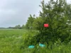 Bild von Galerie: Rehkitzrettung 20. Mai 2026