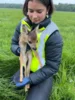 Bild von Galerie: Rehkitzrettung 21. Mai 2026