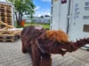 Bild von Galerie: Baby-Mammut on tour