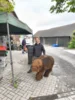 Bild von Galerie: Baby-Mammut on tour