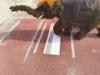 Bild von Galerie: Baby-Mammut on tour