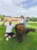 Bild von Galerie: Baby-Mammut on tour