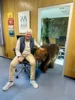 Bild von Galerie: Baby-Mammut on tour