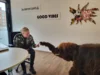 Bild von Galerie: Baby-Mammut on tour