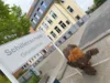 Bild von Galerie: Baby-Mammut on tour