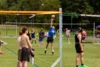 Bild von Galerie: Sonntag 2026