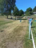 Bild von Galerie: Sportivo Orne Lauf 04.07.2026