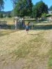 Bild von Galerie: Sportivo Orne Lauf 04.07.2026