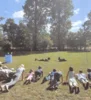 Zur Galerie: Ferienprogramm auf unserem Hundeplatz 09.07.2026