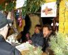 Zur Galerie: Marktbesuche 2014