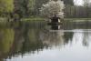 Waldsee am Freizeitzentrum Waldsee am Freizeitzentrum